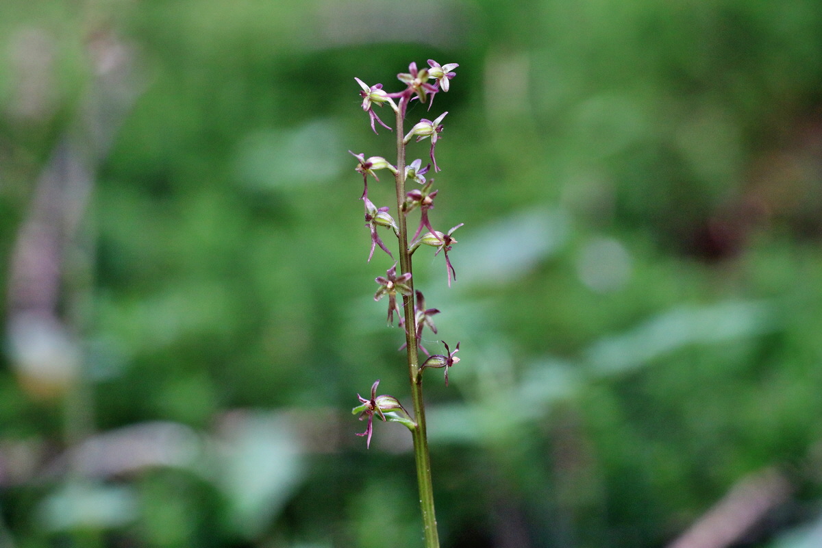 IMG-2016-06-04-00017969p_Bildgr��e �ndern