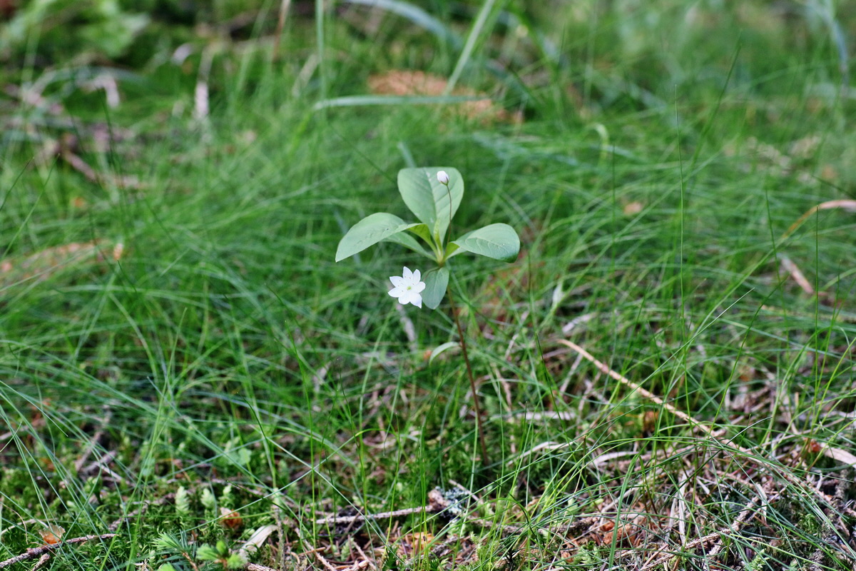 IMG-2016-06-04-00017978p_Bildgr��e �ndern