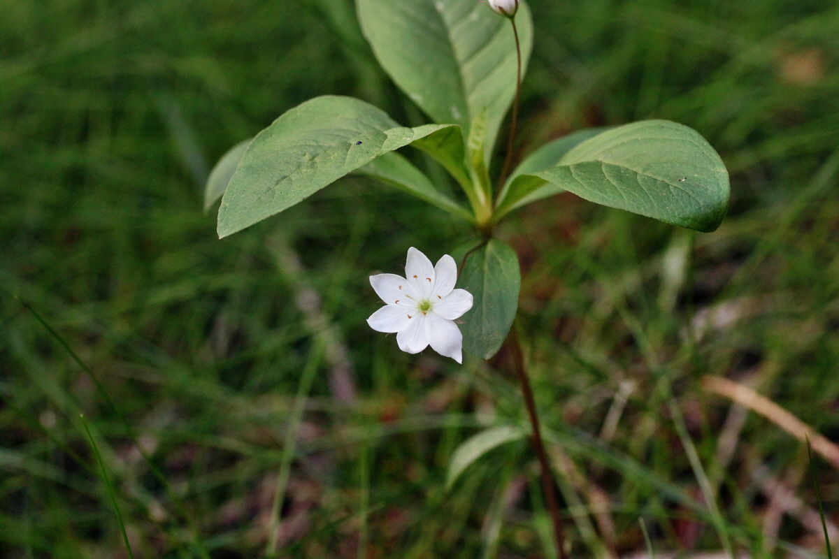 IMG-2016-06-04-00017981p_Bildgr��e �ndern