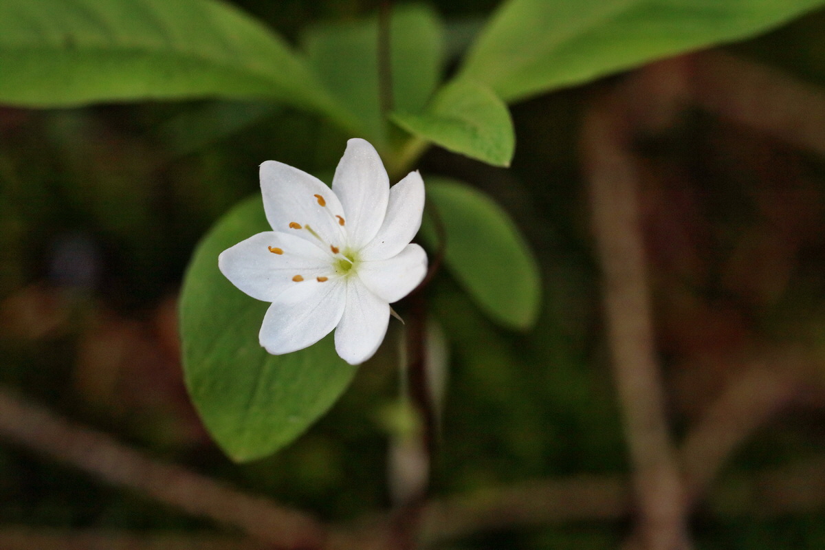 IMG-2016-06-04-00017988p_Bildgr��e �ndern