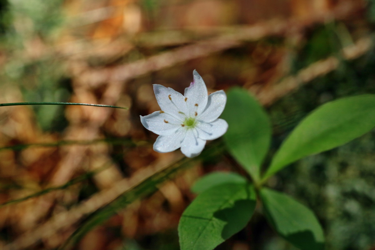 IMG-2016-06-04-00017992p_Bildgr��e �ndern