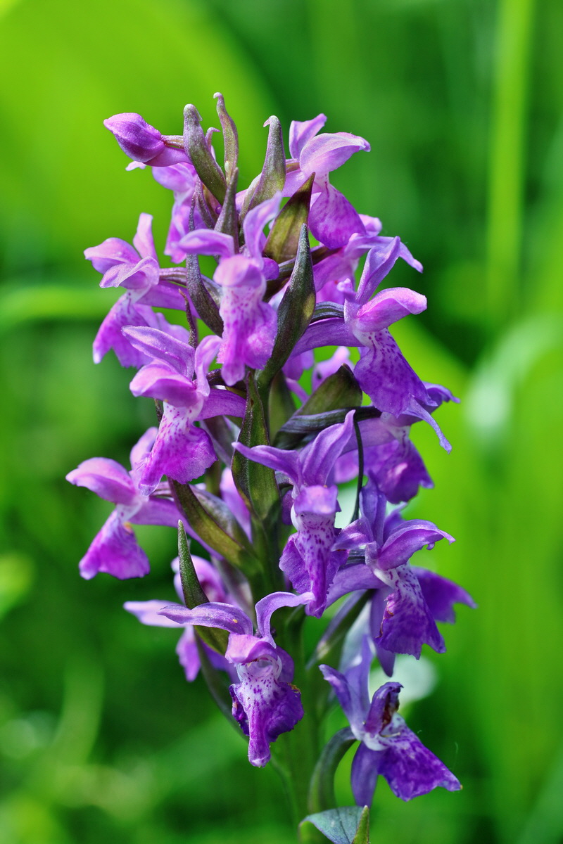 IMG-2016-06-04-00018014p_Bildgr��e �ndern