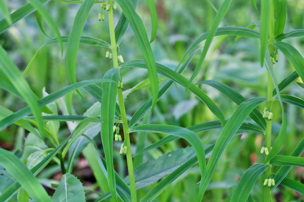 IMG-2016-06-04-00018026p_Bildgr��e �ndern