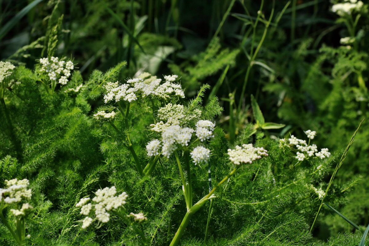 IMG-2016-06-04-00018047p_Bildgr��e �ndern