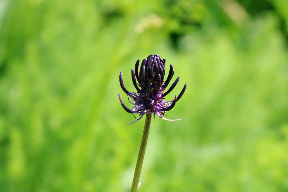 IMG-2016-06-04-00018066p_Bildgr��e �ndern