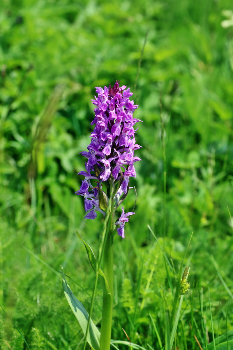 IMG-2016-06-04-00018071p_Bildgr��e �ndern