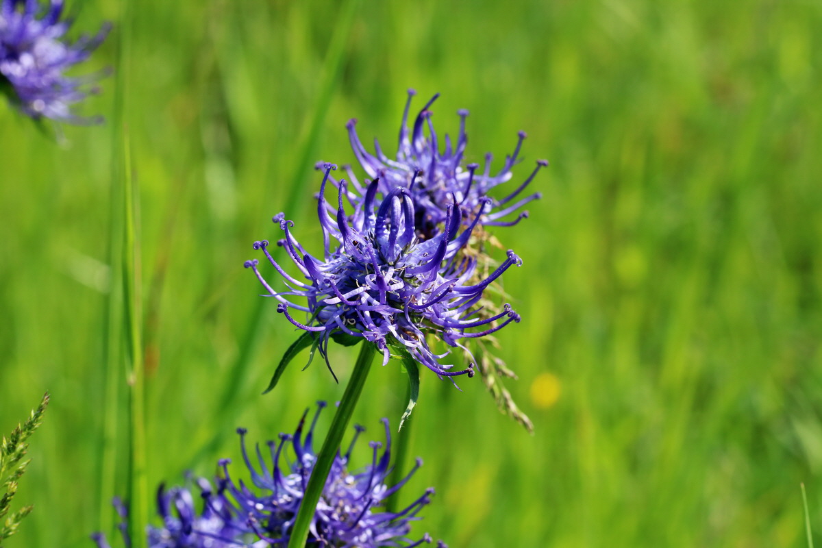 IMG-2016-06-04-00018130p_Bildgr��e �ndern