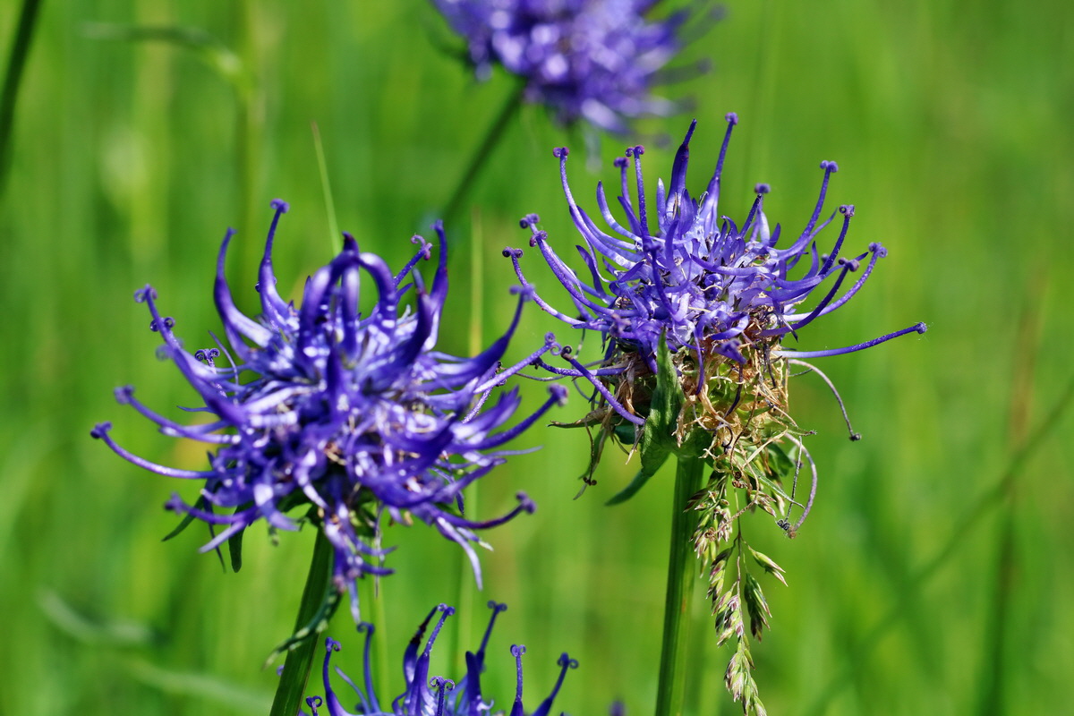 IMG-2016-06-04-00018134p_Bildgr��e �ndern