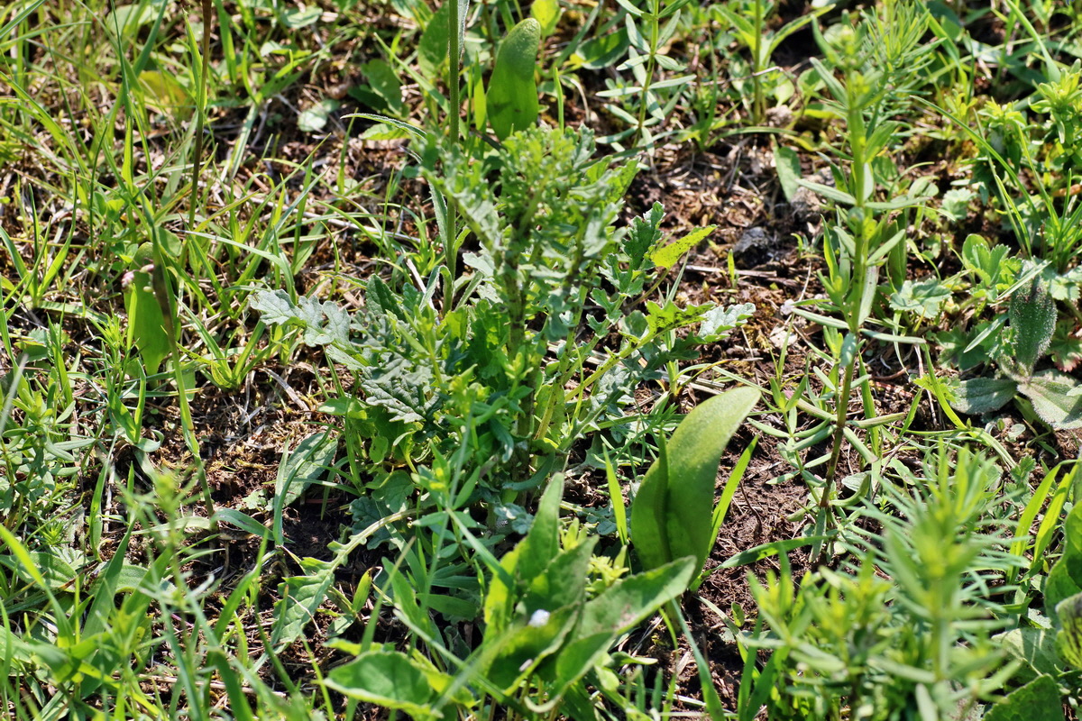 IMG-2016-06-04-00018137p_Bildgr��e �ndern