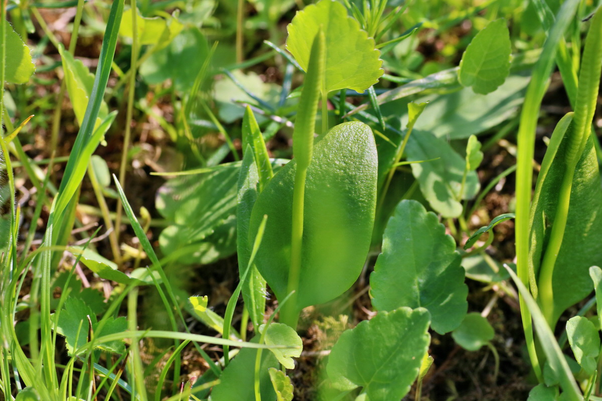 IMG-2016-06-04-00018139p_Bildgr��e �ndern