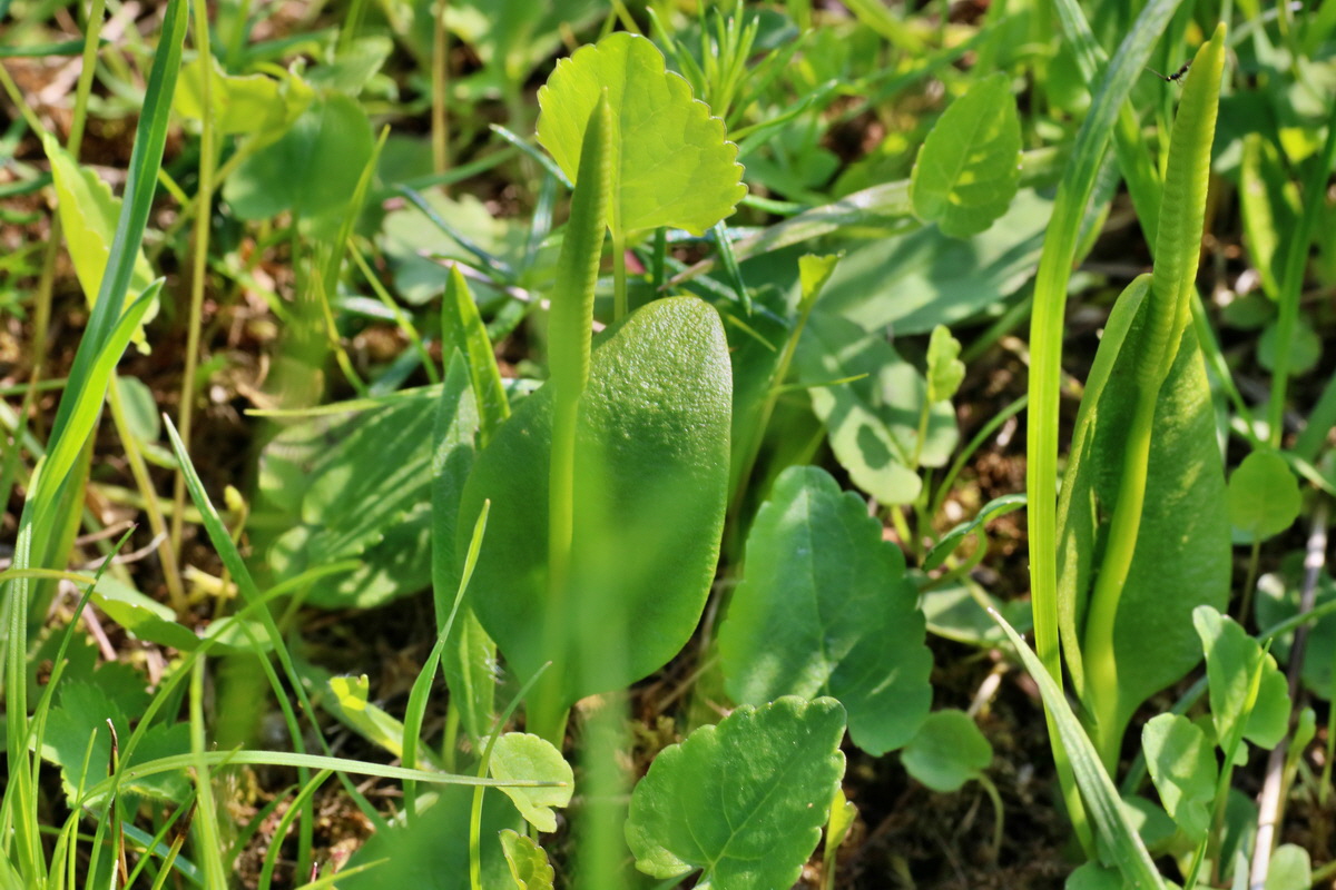 IMG-2016-06-04-00018143p_Bildgr��e �ndern