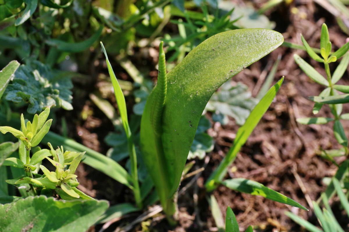 IMG-2016-06-04-00018148p_Bildgr��e �ndern