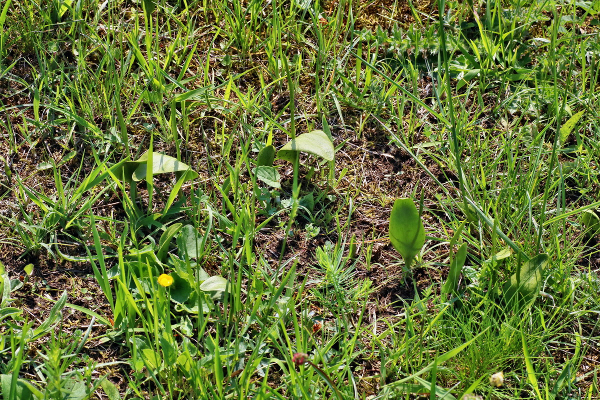 IMG-2016-06-04-00018151p_Bildgr��e �ndern