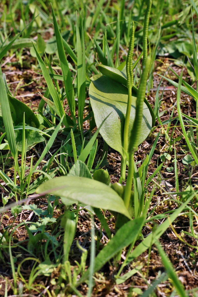 IMG-2016-06-04-00018160p_Bildgr��e �ndern