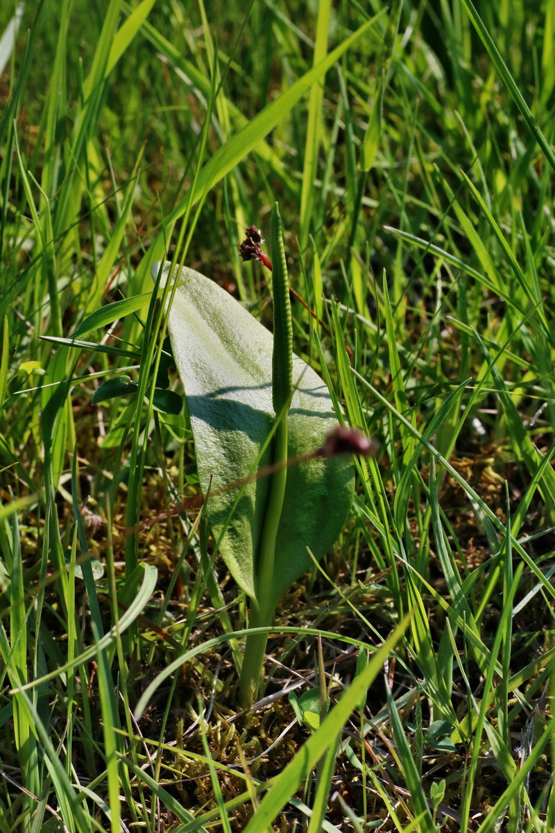 IMG-2016-06-04-00018162p_Bildgr��e �ndern