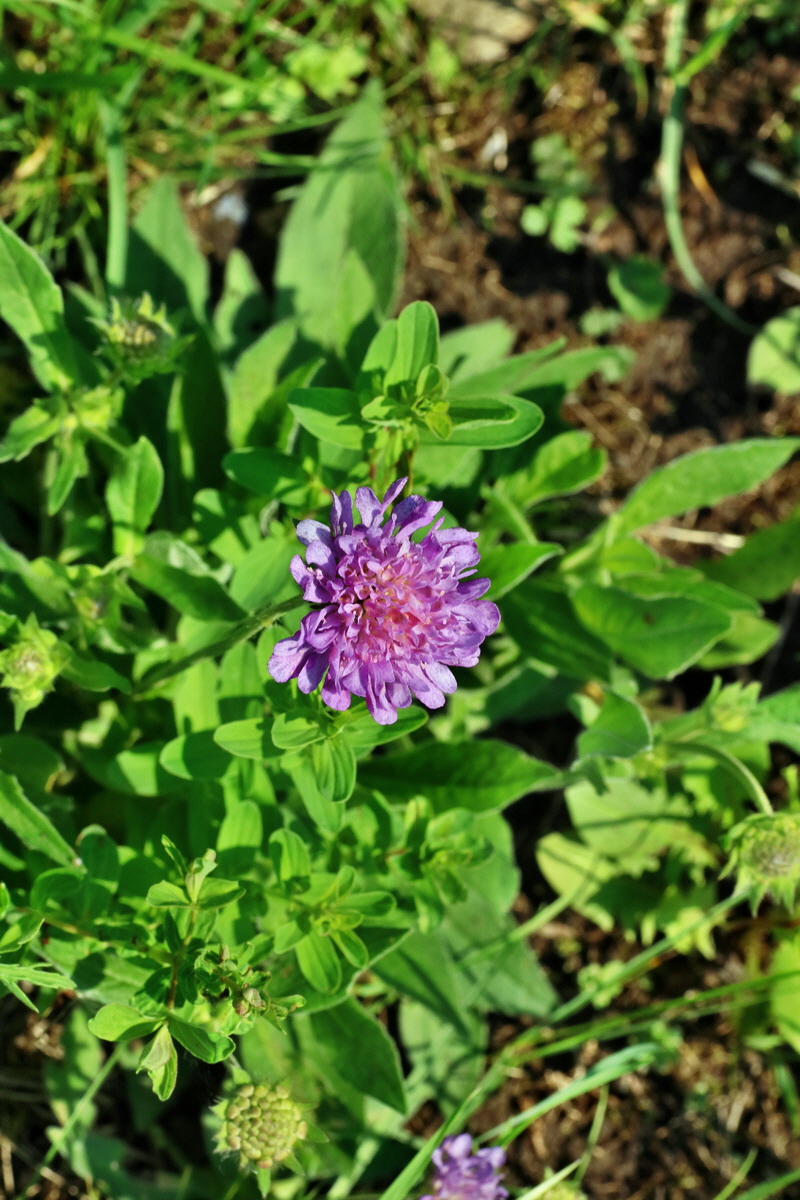 IMG-2016-06-04-00018167p_Bildgr��e �ndern