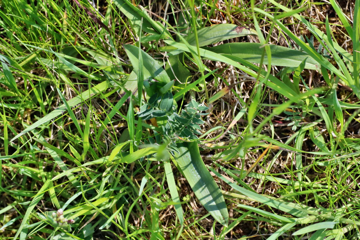 IMG-2016-06-04-00018169p_Bildgr��e �ndern