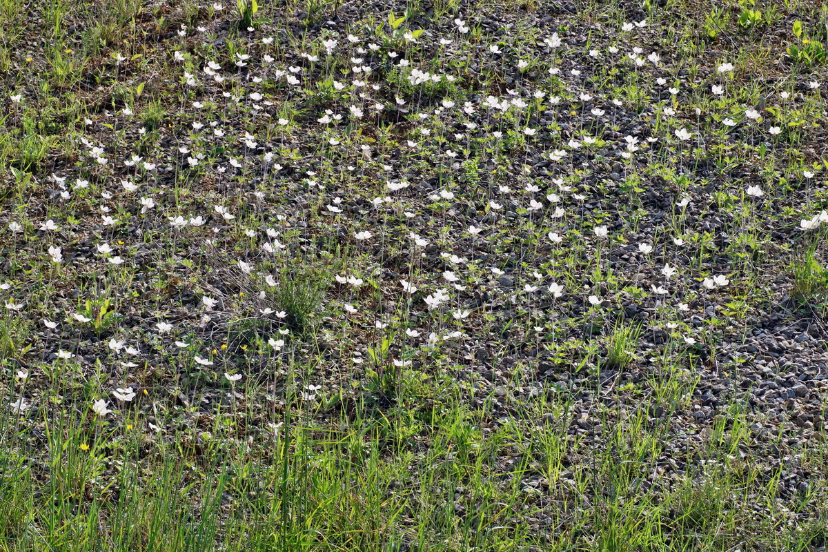 IMG-2016-06-04-00018171p_Bildgr��e �ndern