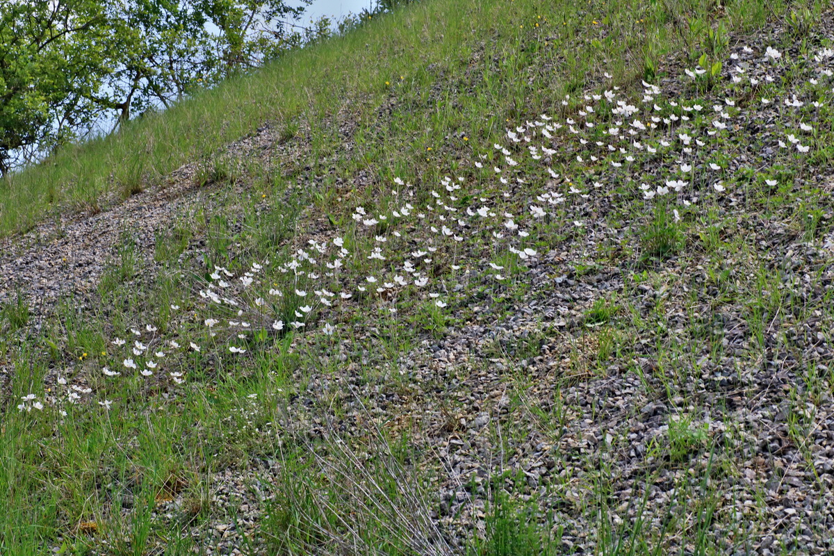 IMG-2016-06-04-00018173p_Bildgr��e �ndern