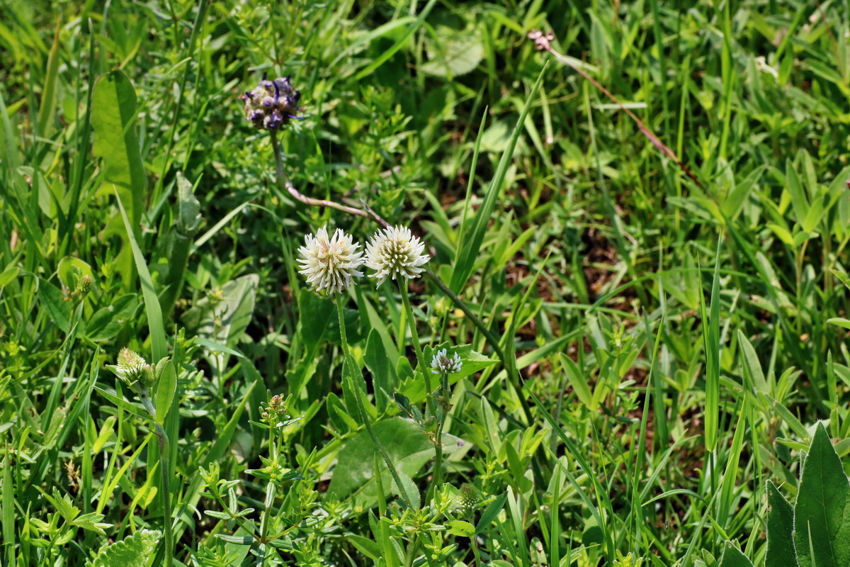 IMG-2016-06-04-00018177p_Bildgr��e �ndern