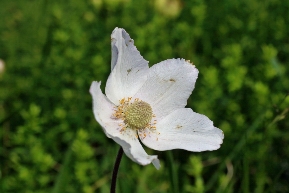 IMG-2016-06-04-00018183p_Bildgr��e �ndern