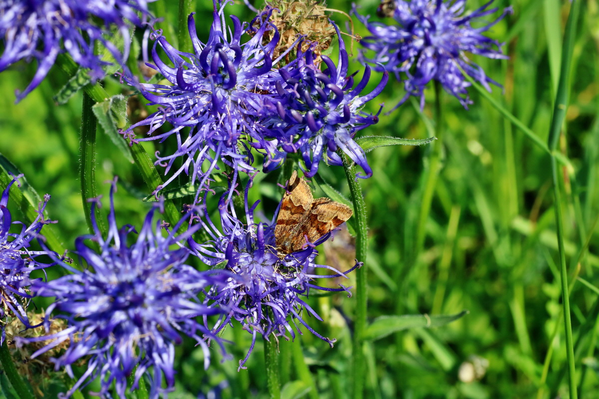 IMG-2016-06-04-00018238p_Bildgr��e �ndern