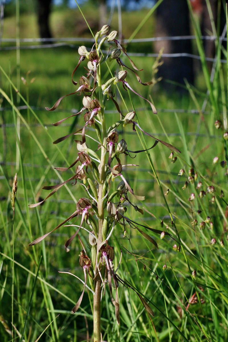 IMG-2016-06-06-00018243p_Bildgr��e �ndern