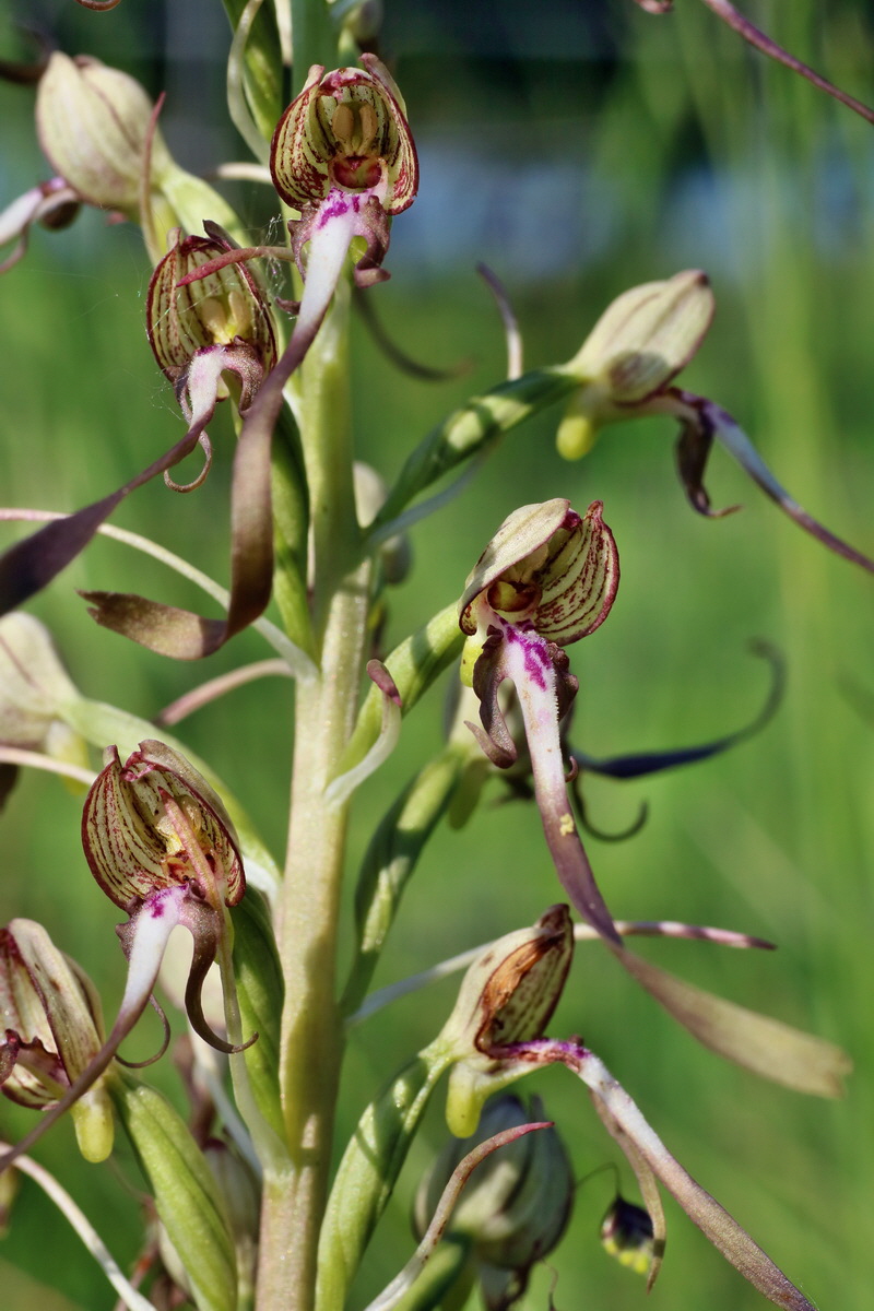 IMG-2016-06-06-00018259p_Bildgr��e �ndern