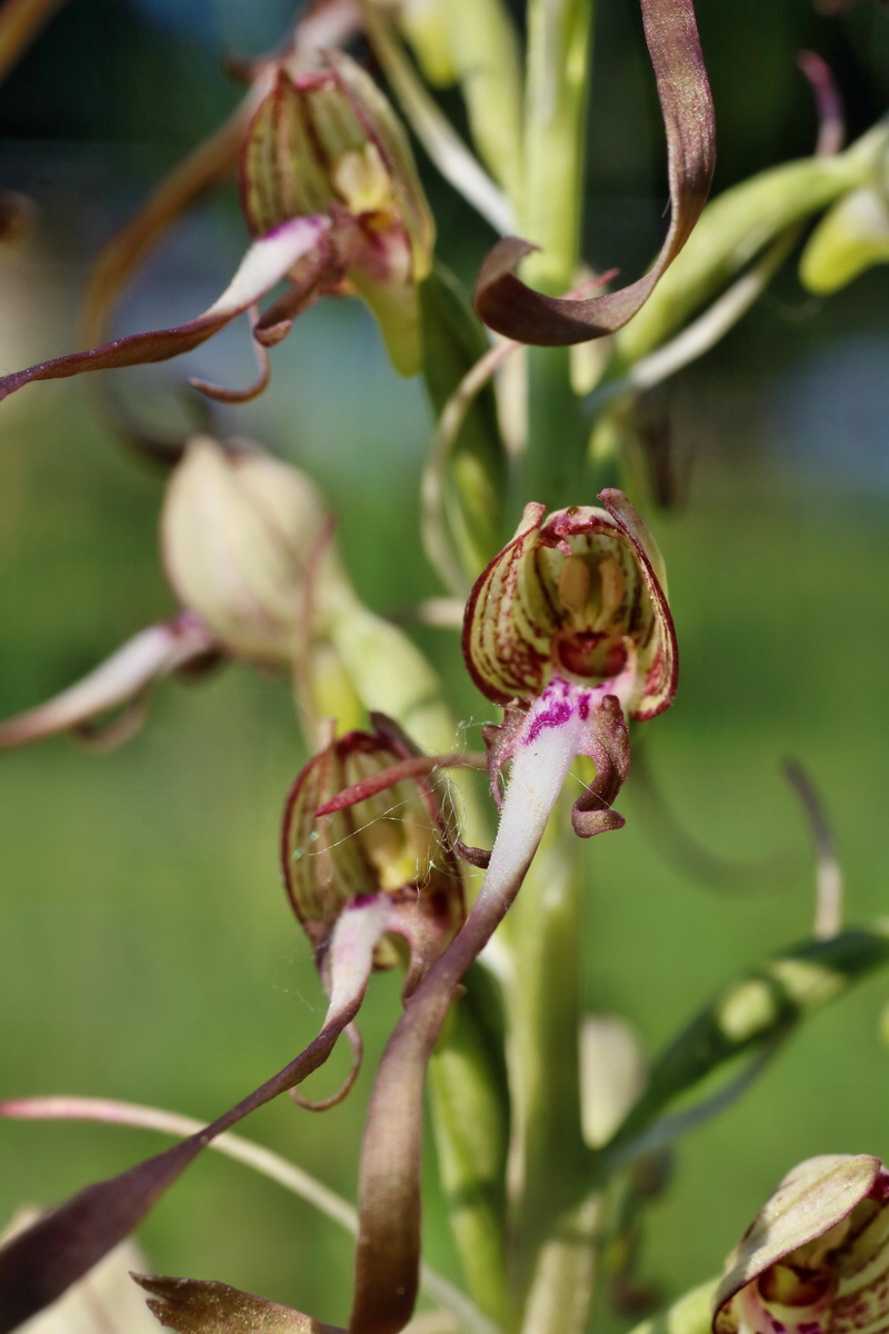 IMG-2016-06-06-00018262p_Bildgr��e �ndern