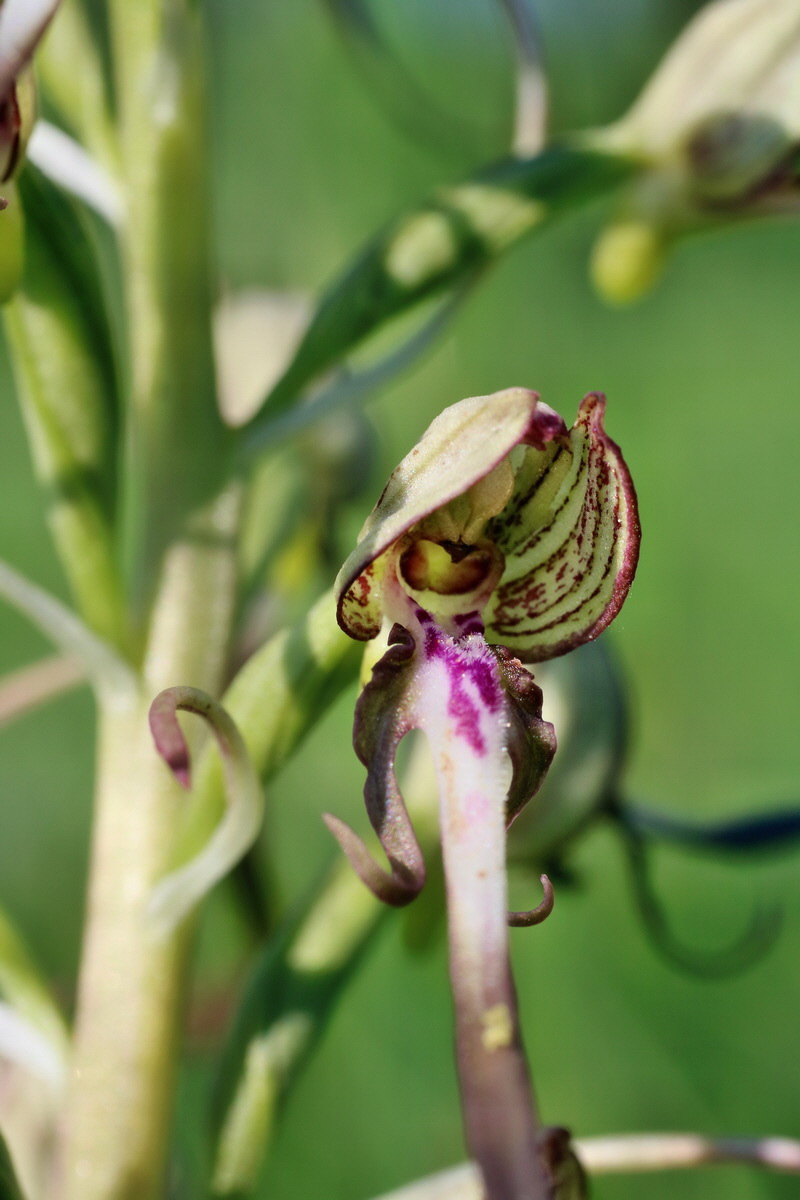 IMG-2016-06-06-00018263p_Bildgr��e �ndern