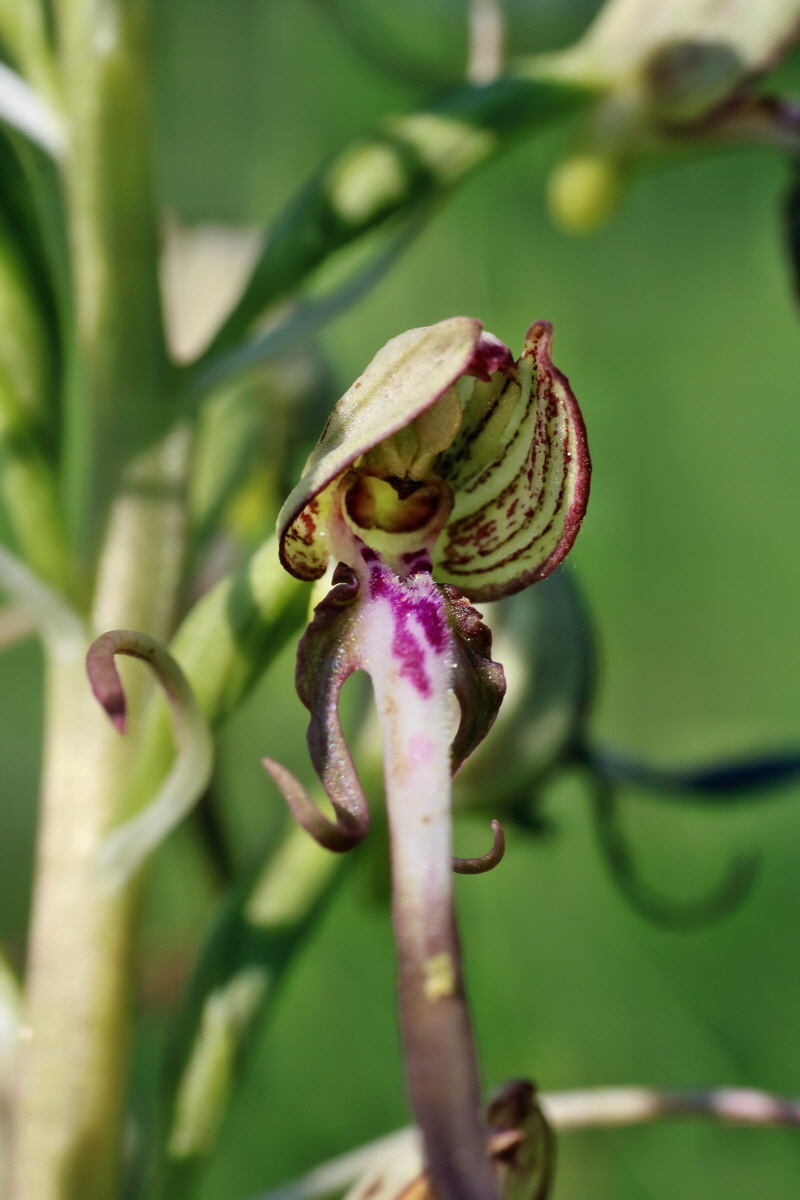 IMG-2016-06-06-00018268p_Bildgr��e �ndern