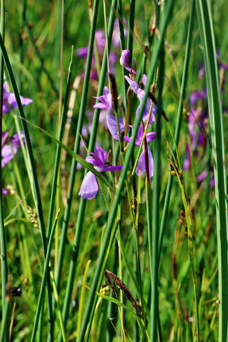 IMG-2016-06-06-00018284p_Bildgr��e �ndern