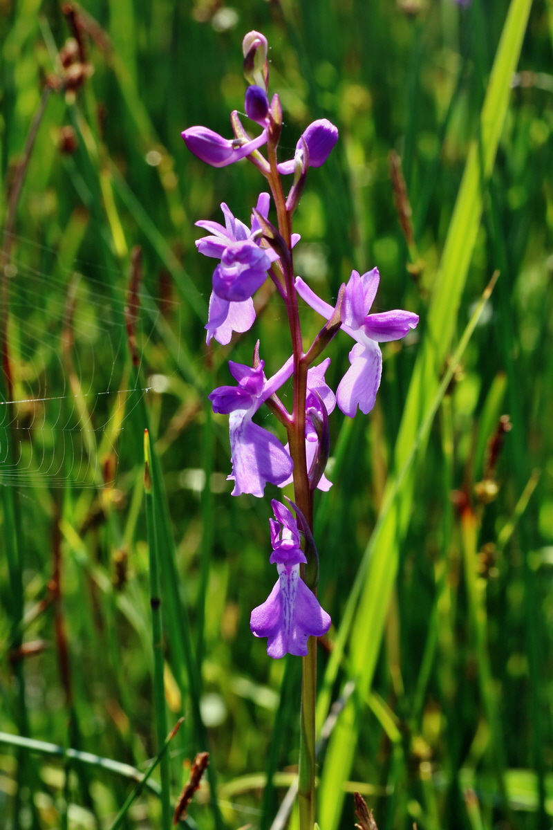 IMG-2016-06-06-00018287p_Bildgr��e �ndern