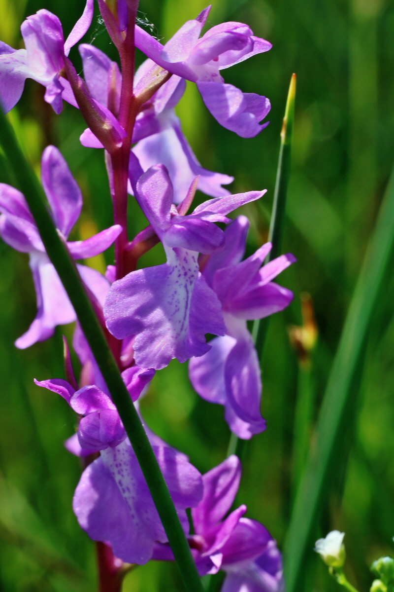 IMG-2016-06-06-00018293p_Bildgr��e �ndern