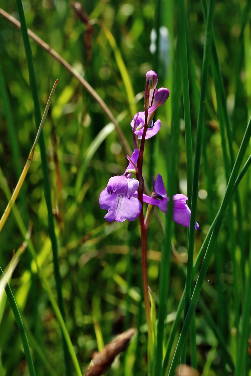 IMG-2016-06-06-00018296p_Bildgr��e �ndern