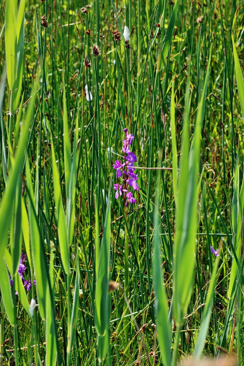 IMG-2016-06-06-00018301p_Bildgr��e �ndern