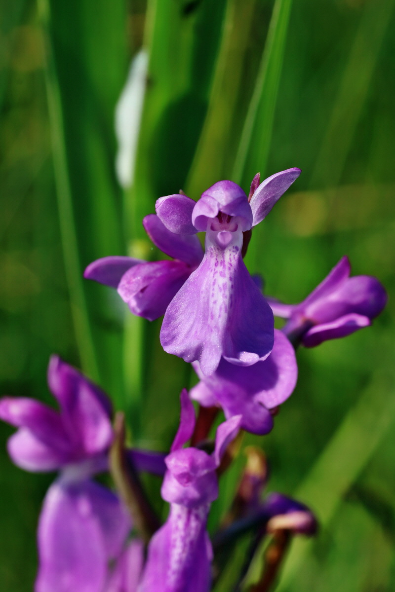 IMG-2016-06-06-00018303p_Bildgr��e �ndern