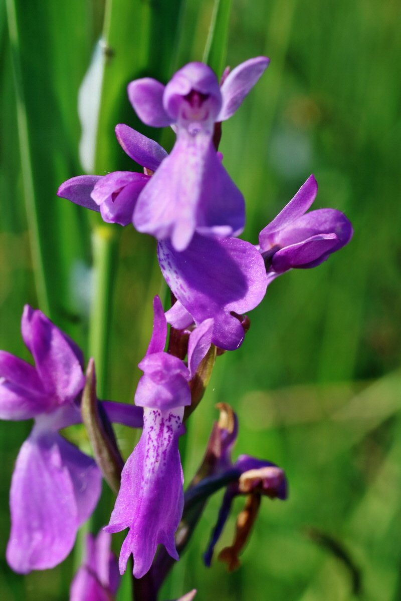 IMG-2016-06-06-00018307p_Bildgr��e �ndern