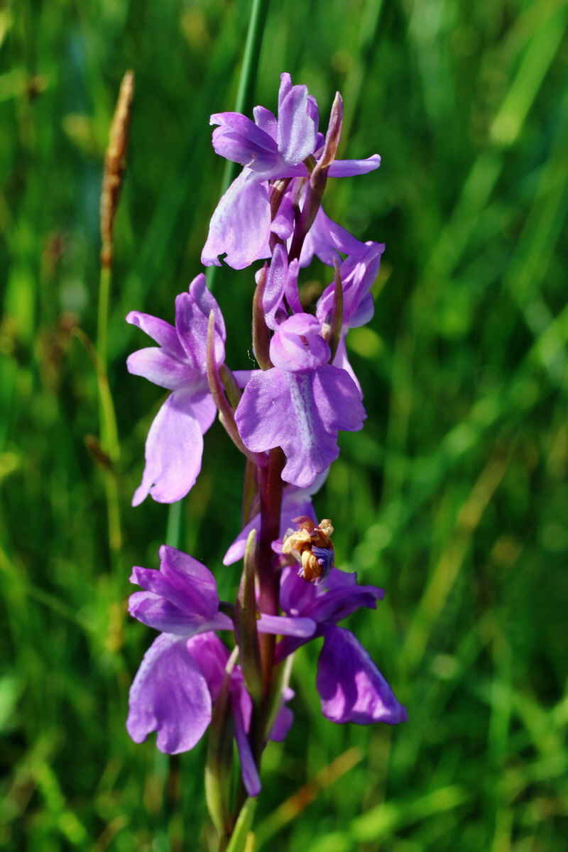 IMG-2016-06-06-00018311p_Bildgr��e �ndern