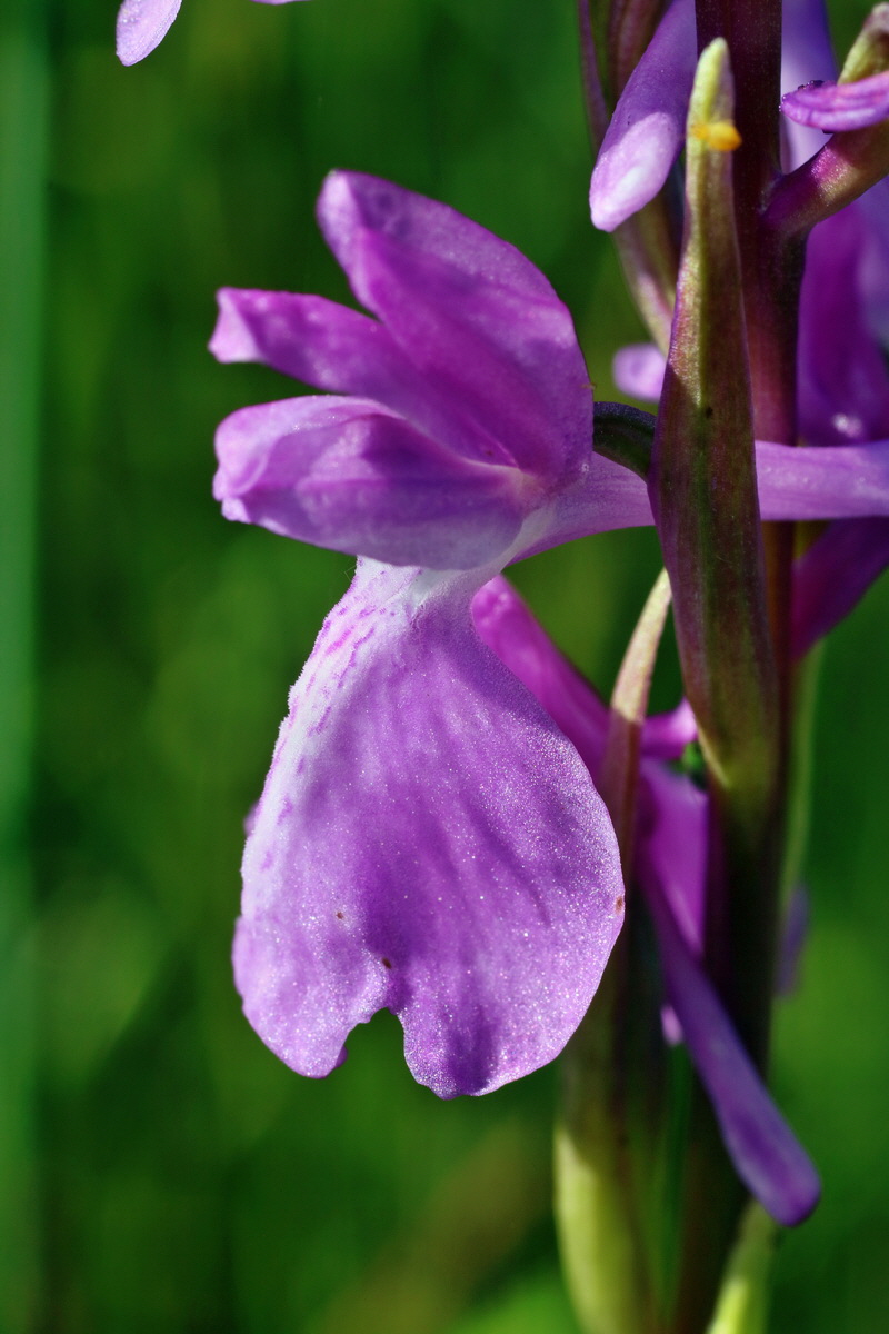 IMG-2016-06-06-00018314p_Bildgr��e �ndern