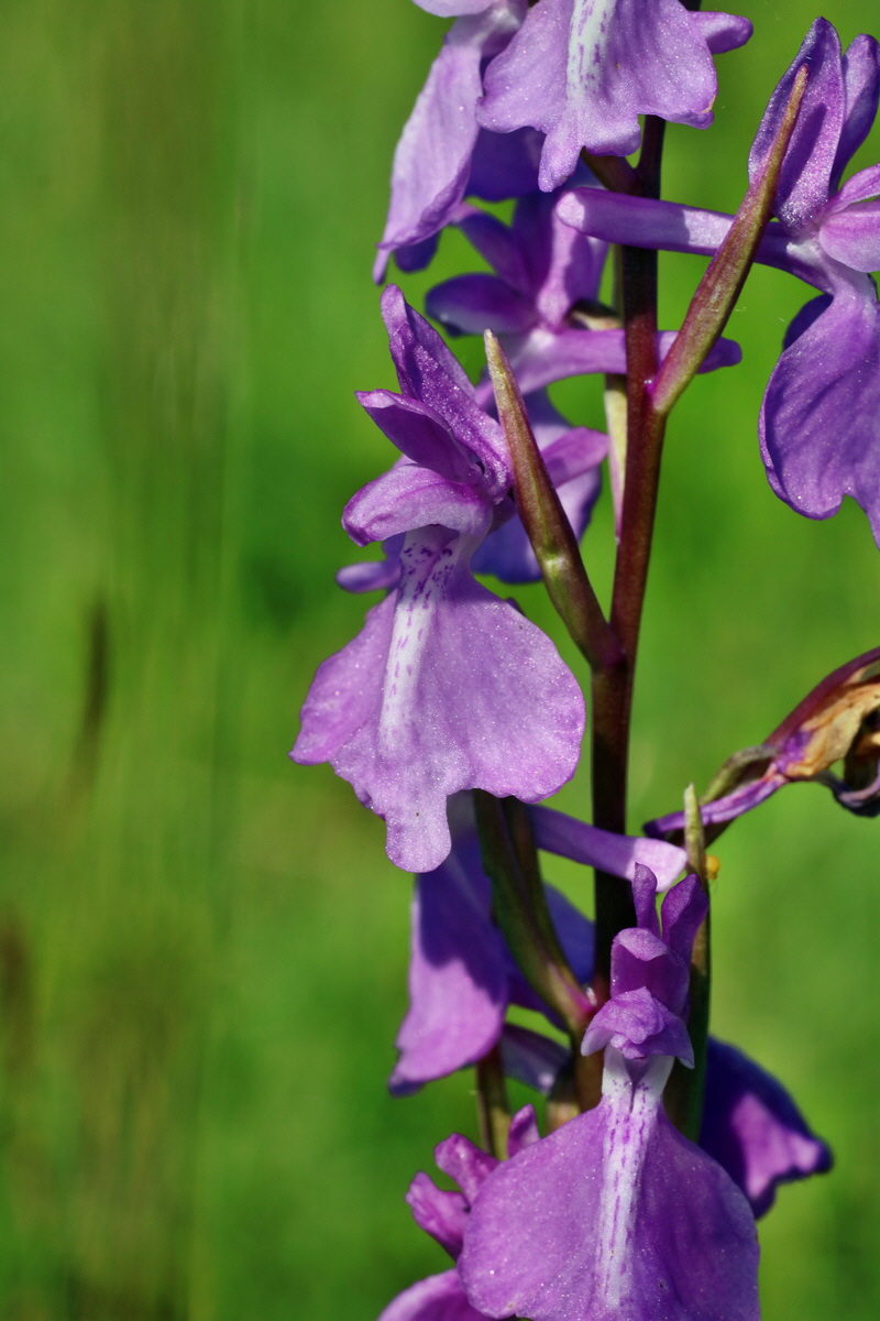 IMG-2016-06-06-00018317p_Bildgr��e �ndern