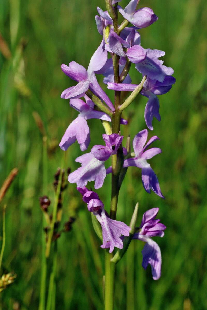 IMG-2016-06-06-00018356p_Bildgr��e �ndern