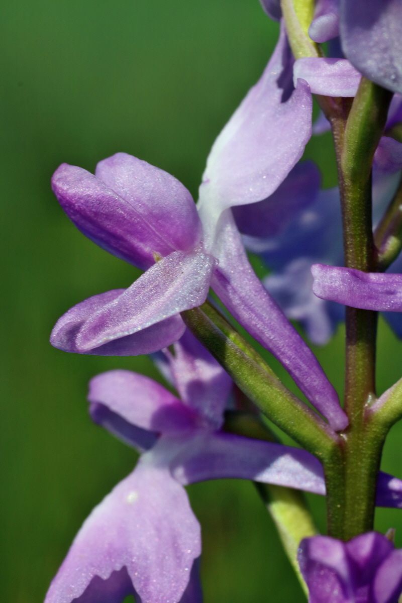 IMG-2016-06-06-00018359p_Bildgr��e �ndern