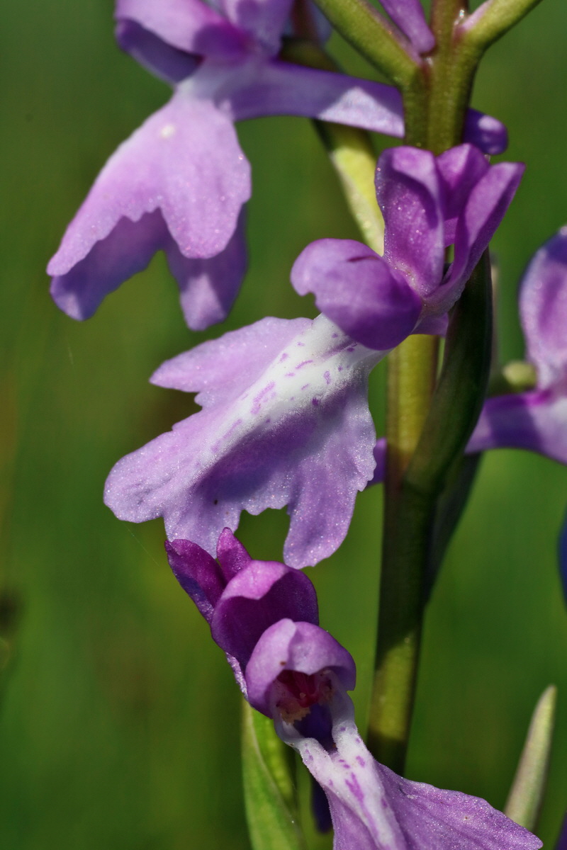 IMG-2016-06-06-00018361p_Bildgr��e �ndern