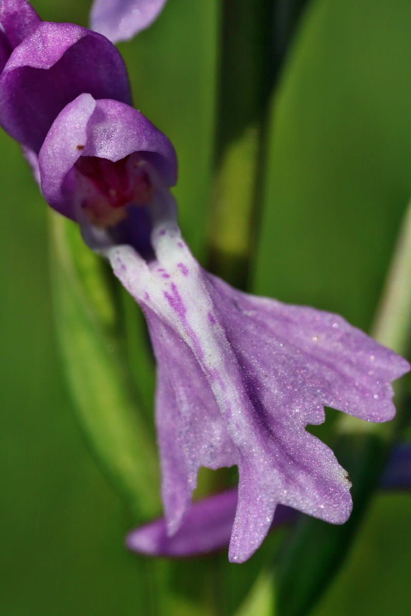 IMG-2016-06-06-00018364p_Bildgr��e �ndern