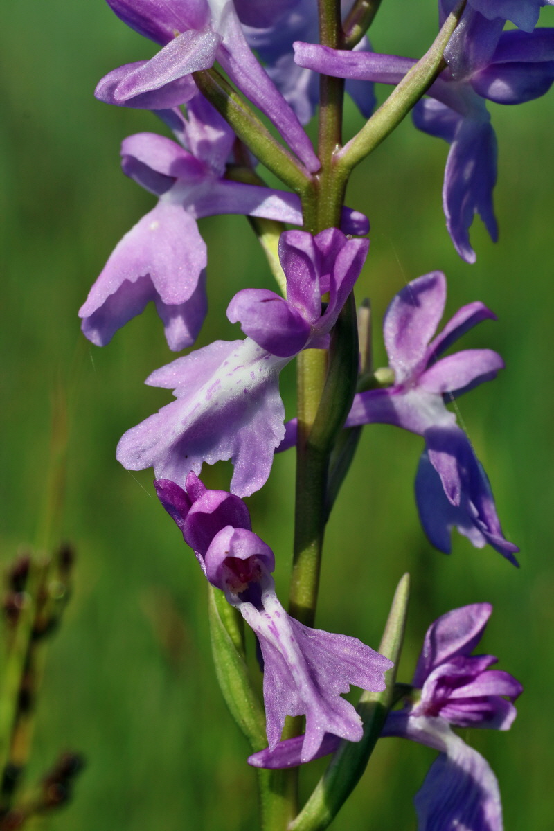 IMG-2016-06-06-00018367p_Bildgr��e �ndern