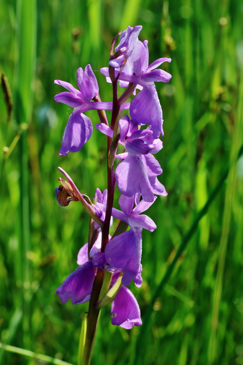 IMG-2016-06-06-00018369p_Bildgr��e �ndern