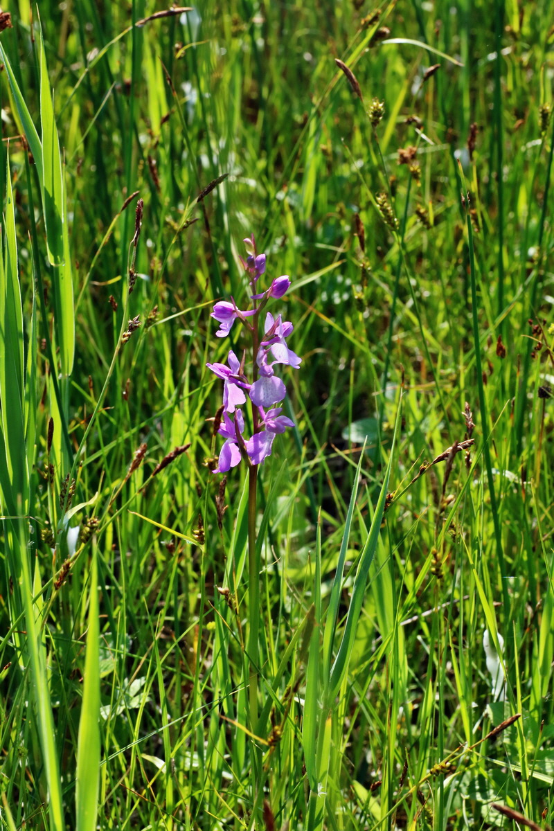 IMG-2016-06-06-00018371p_Bildgr��e �ndern