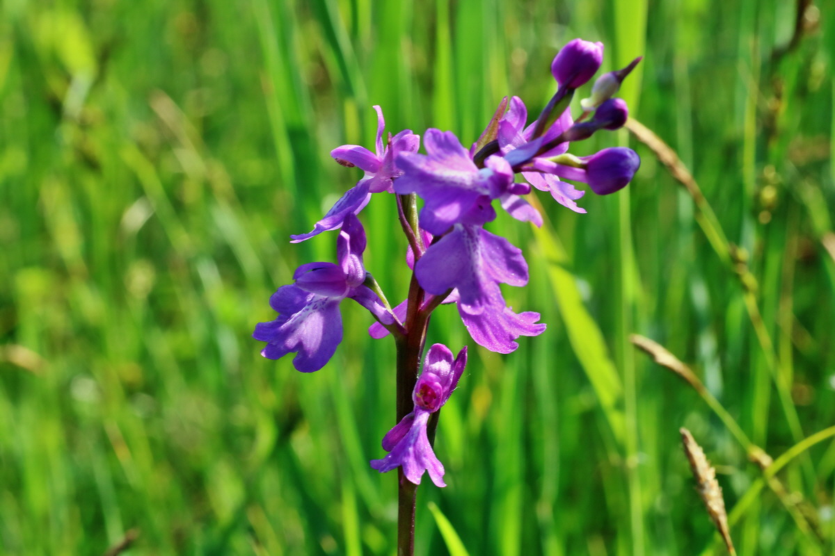 IMG-2016-06-06-00018380p_Bildgr��e �ndern