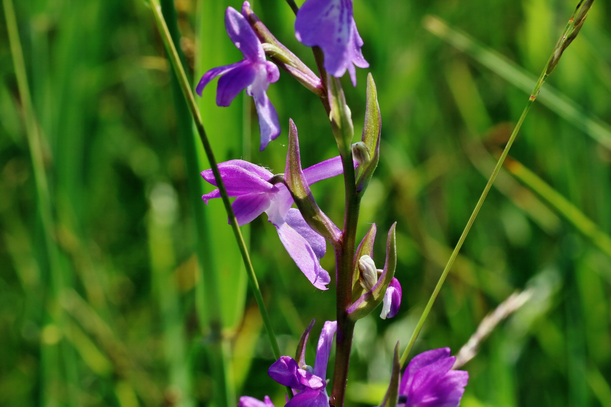 IMG-2016-06-06-00018381p_Bildgr��e �ndern